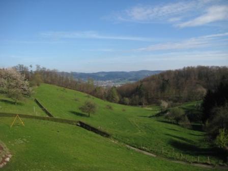 Waldschenke Fuhr Hotel Heppenheim  Ngoại thất bức ảnh